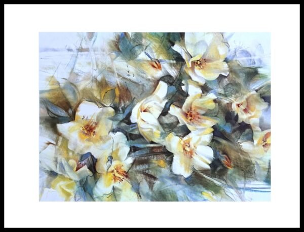 EEFJAD05 Anemonefeld